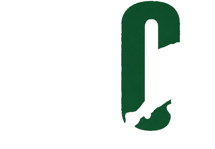 The Endurance Course